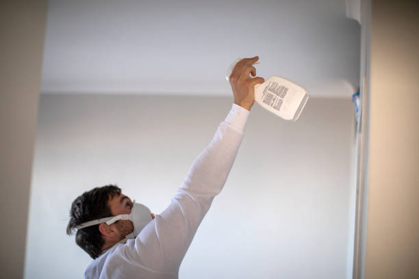 Best Same-Day Mold Removal  in Tullytown, PA