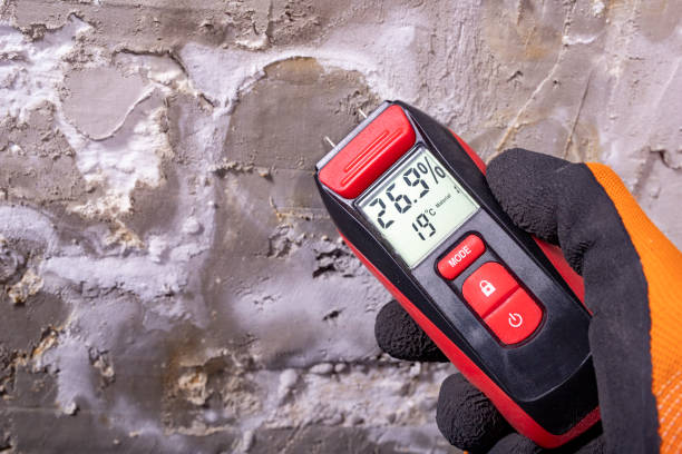 Best Certified Mold Removal  in Tullytown, PA