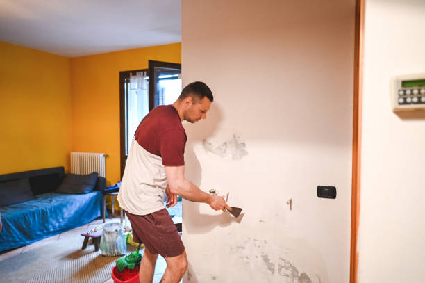 Best Black Mold Removal  in Tullytown, PA