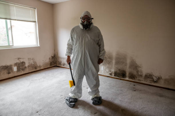 Trusted Tullytown, PA Mold Removal Experts